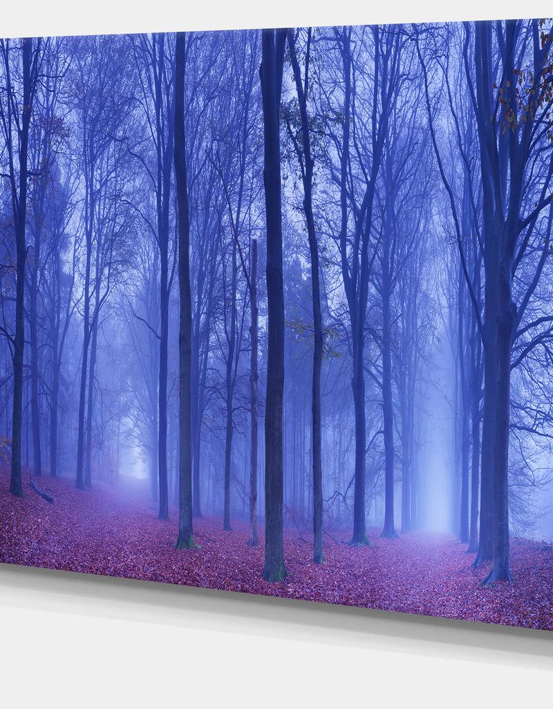 DesignQ Two Paths In Foggy Blue Forest - Landscape Large Canvas Art Print