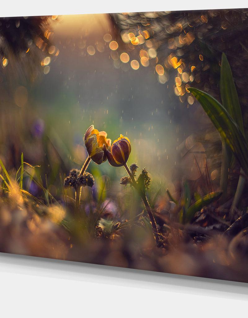 DesignQ Two Spring Flowers - Floral Photography Canvas Print