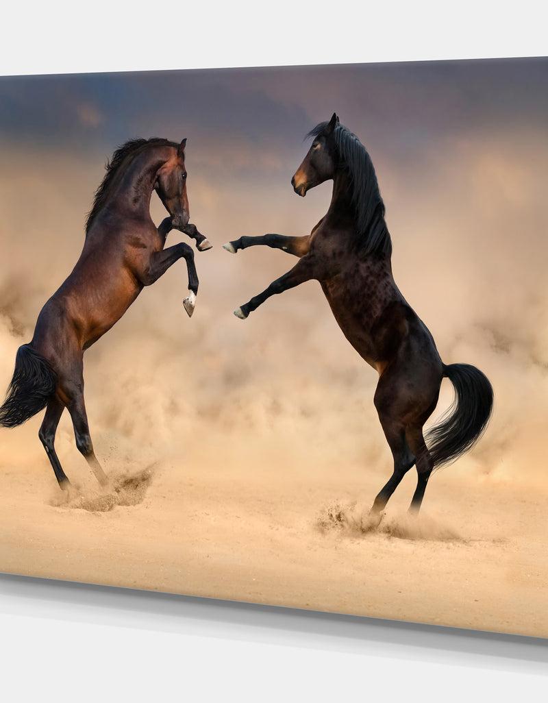 DesignQ Two Stallion Rearing Up - Animals PhotographyPrint On Wrapped Canvas