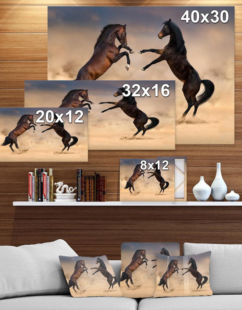 DesignQ Two Stallion Rearing Up - Animals PhotographyPrint On Wrapped Canvas