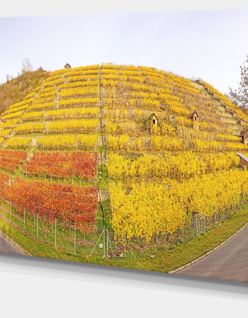 DesignQ Vineyard Panorama In Autumn - Modern Landscpae Wall Art