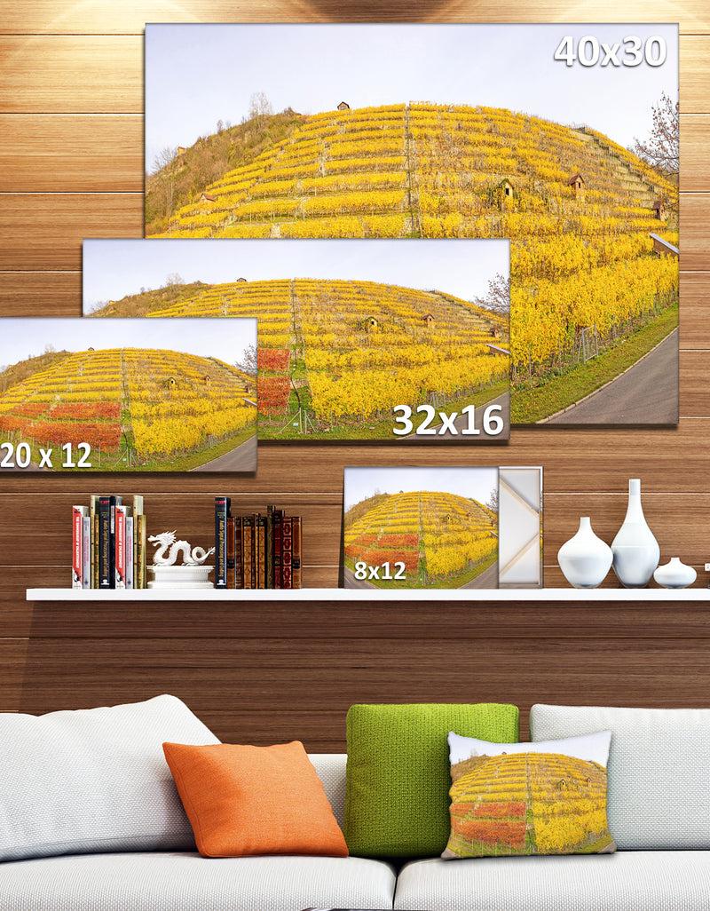 DesignQ Vineyard Panorama In Autumn - Modern Landscpae Wall Art