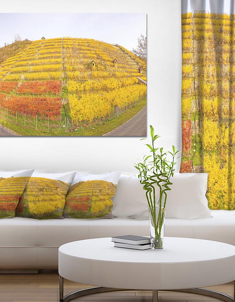 DesignQ Vineyard Panorama in Autumn - Modern Landscpae Wall Art