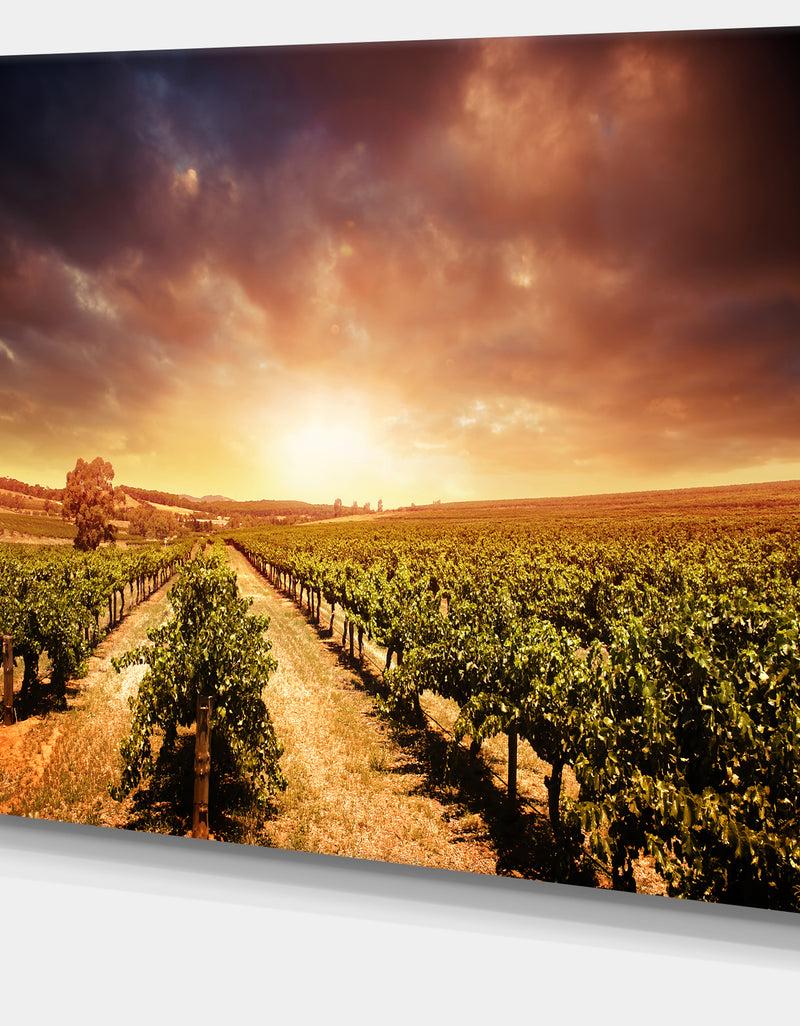 DesignQ Vineyard With Stormy Sunset - Extra Large Wall Art Landscape