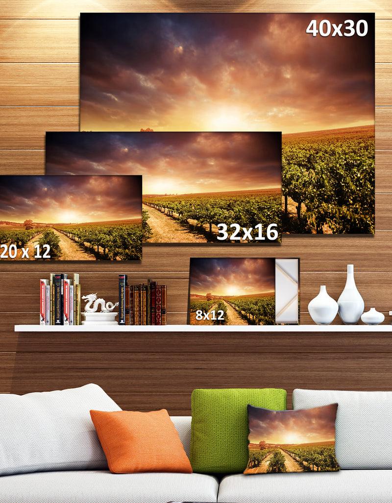 DesignQ Vineyard With Stormy Sunset - Extra Large Wall Art Landscape