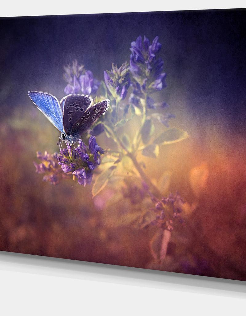 DesignQ Vintage Butterfly - Digital Art Floral Canvas Print