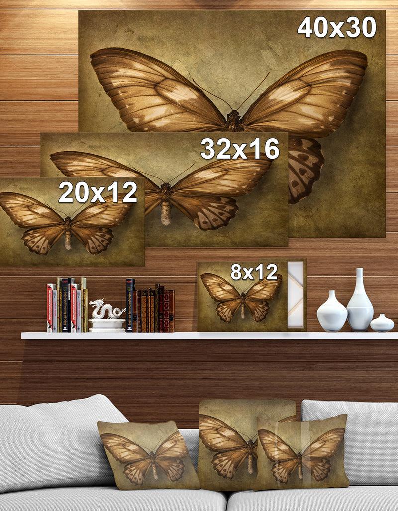 DesignQ Vintage Butterfly - Vintage Painting Print On Wrapped Canvas