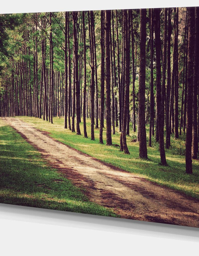 DesignQ Vintage Style Forest With Pathway - Modern Forest Canvas Art
