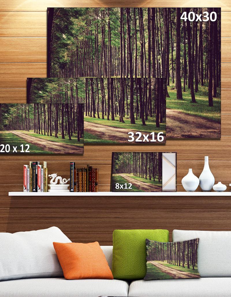 DesignQ Vintage Style Forest With Pathway - Modern Forest Canvas Art