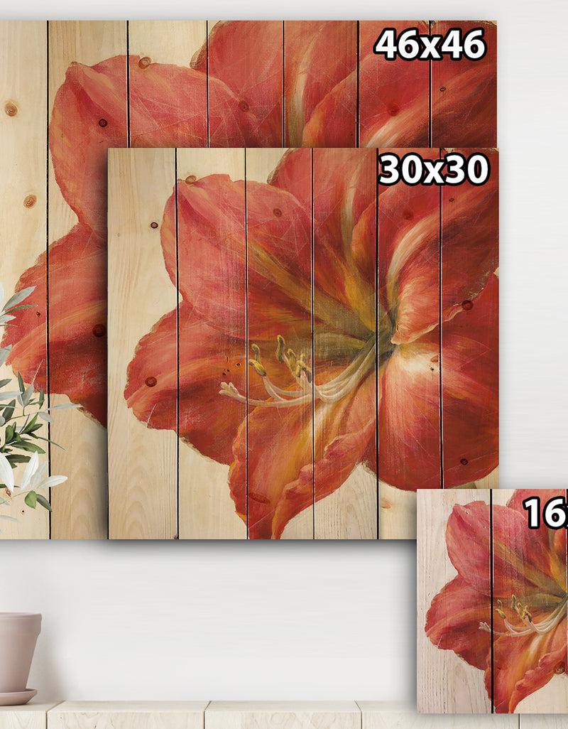 DesignQ Vivid Red Amaryllis - Floral & Botanical Print On Natural Pine Wood