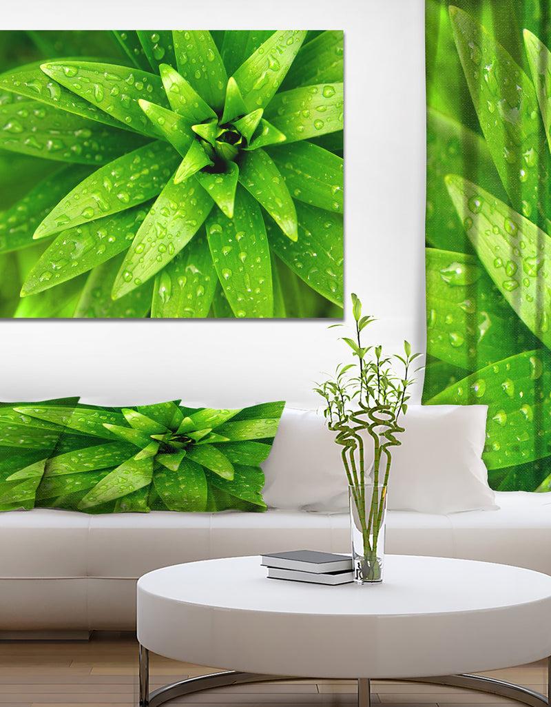 DesignQ Wet Foliage - Floral Photography On Wrapped Canvas