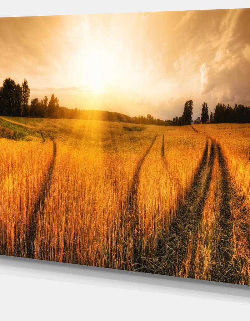 DesignQ Wheat Field At Sunset Panorama Photo Canvas Art Print