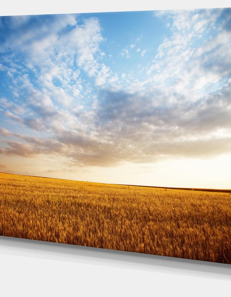 DesignQ Wheat Field Under Summer Sky - Extra Large Wall Art Landscape