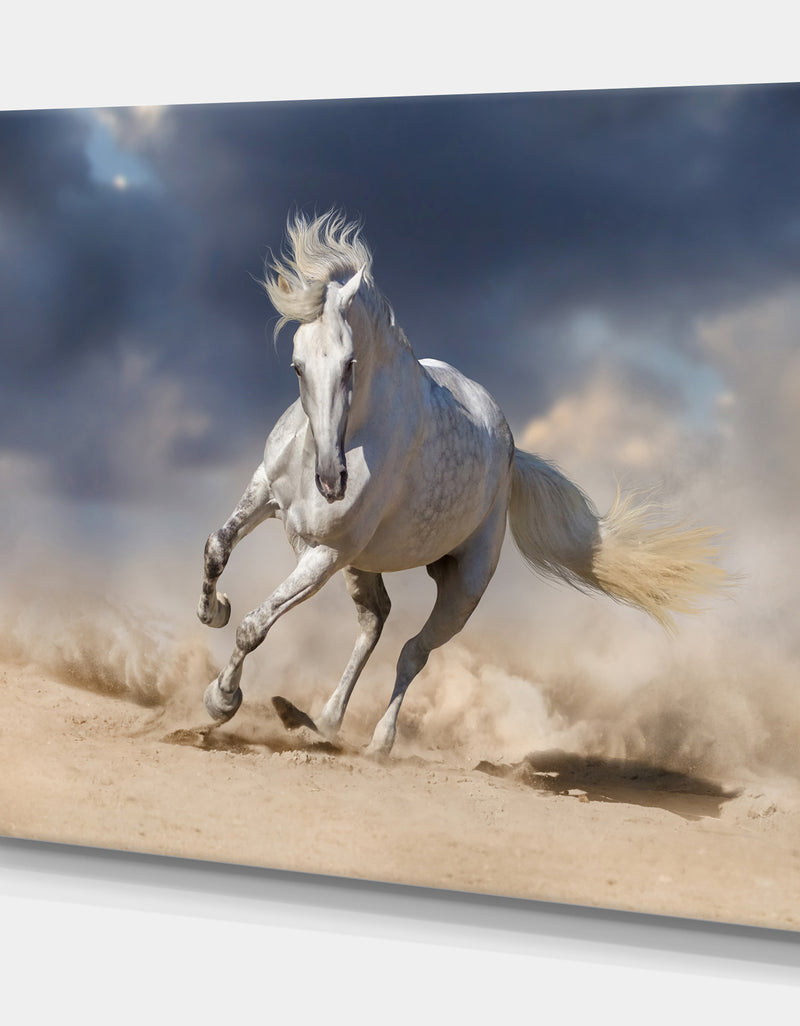 DesignQ White Andalusian Horse In Desert Dust - Animals PhotographyPrint On Wrapped Canvas