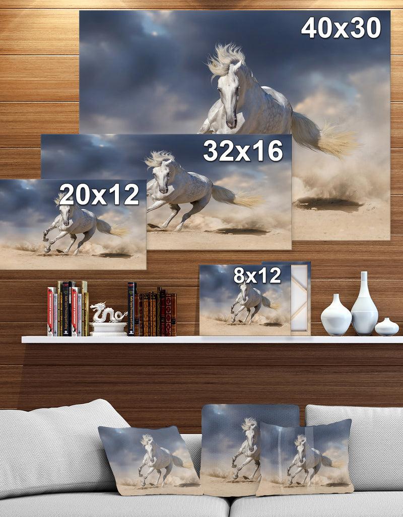 DesignQ White Andalusian Horse In Desert Dust - Animals PhotographyPrint On Wrapped Canvas