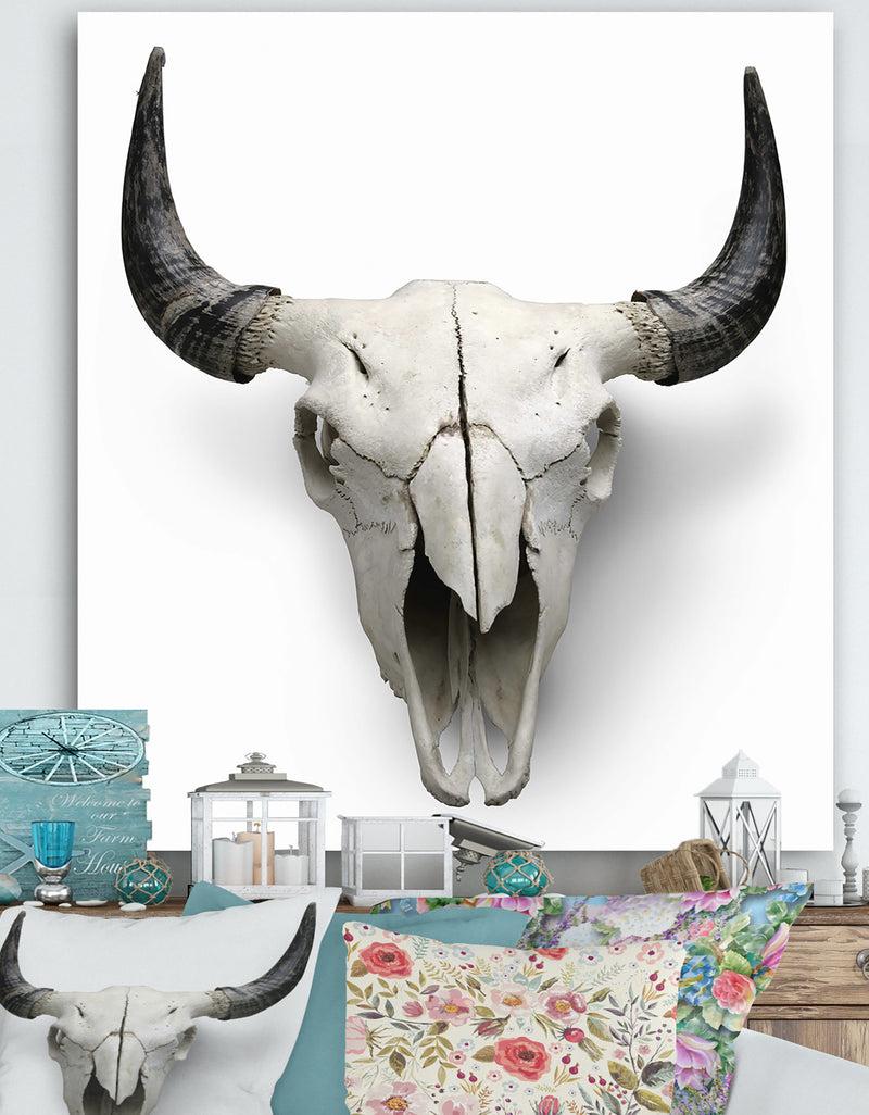 DesignQ White Cow Skull With Black Horns - Farmhouse Canvas Wall Art