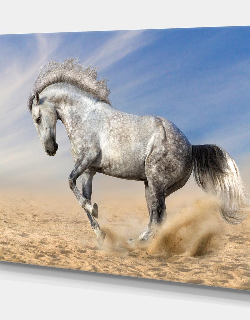 DesignQ White Horse In Calm Sky - Farmhouse Animals Photographic On Wrapped Canvas