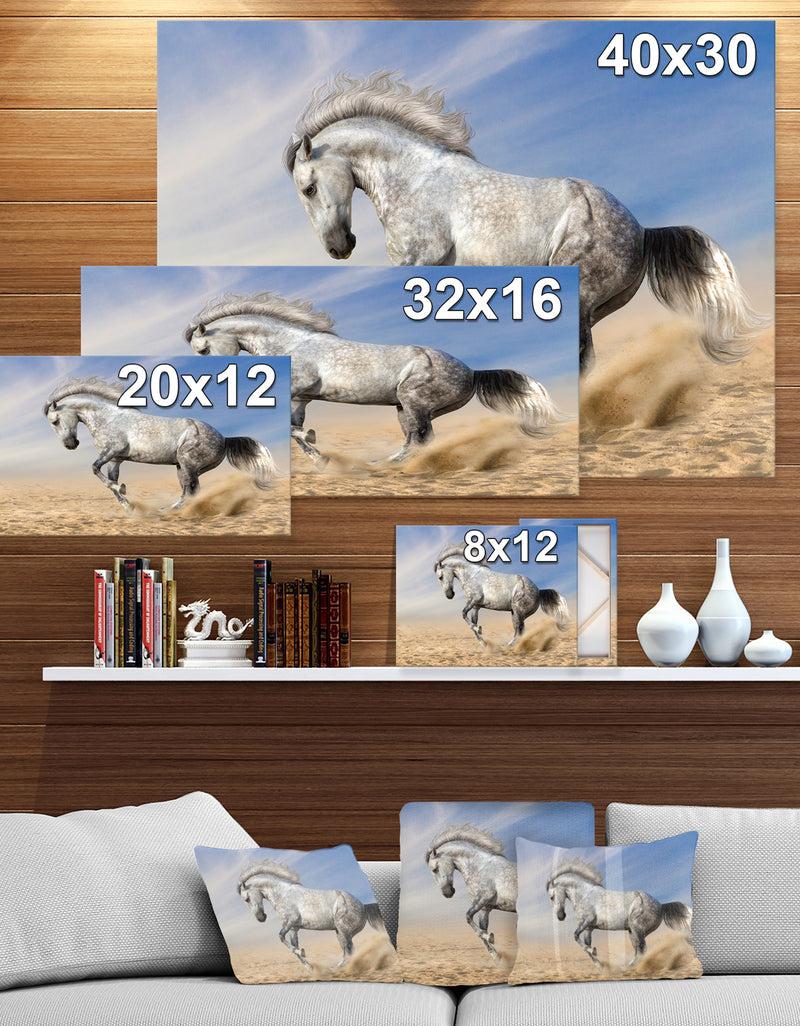 DesignQ White Horse In Calm Sky - Farmhouse Animals Photographic On Wrapped Canvas