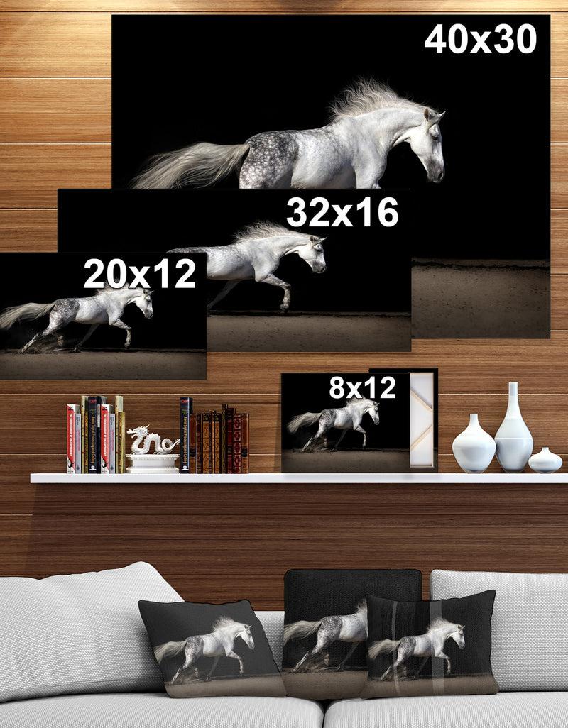 DesignQ White Horse In Desert Dust - Farmhouse Animals Photographic On Wrapped Canvas