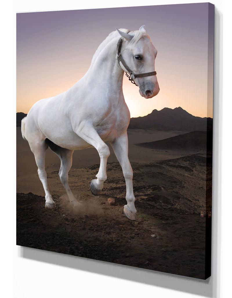 DesignQ White Horse In The Desert - Farmhouse Animals Photographic On Wrapped Canvas