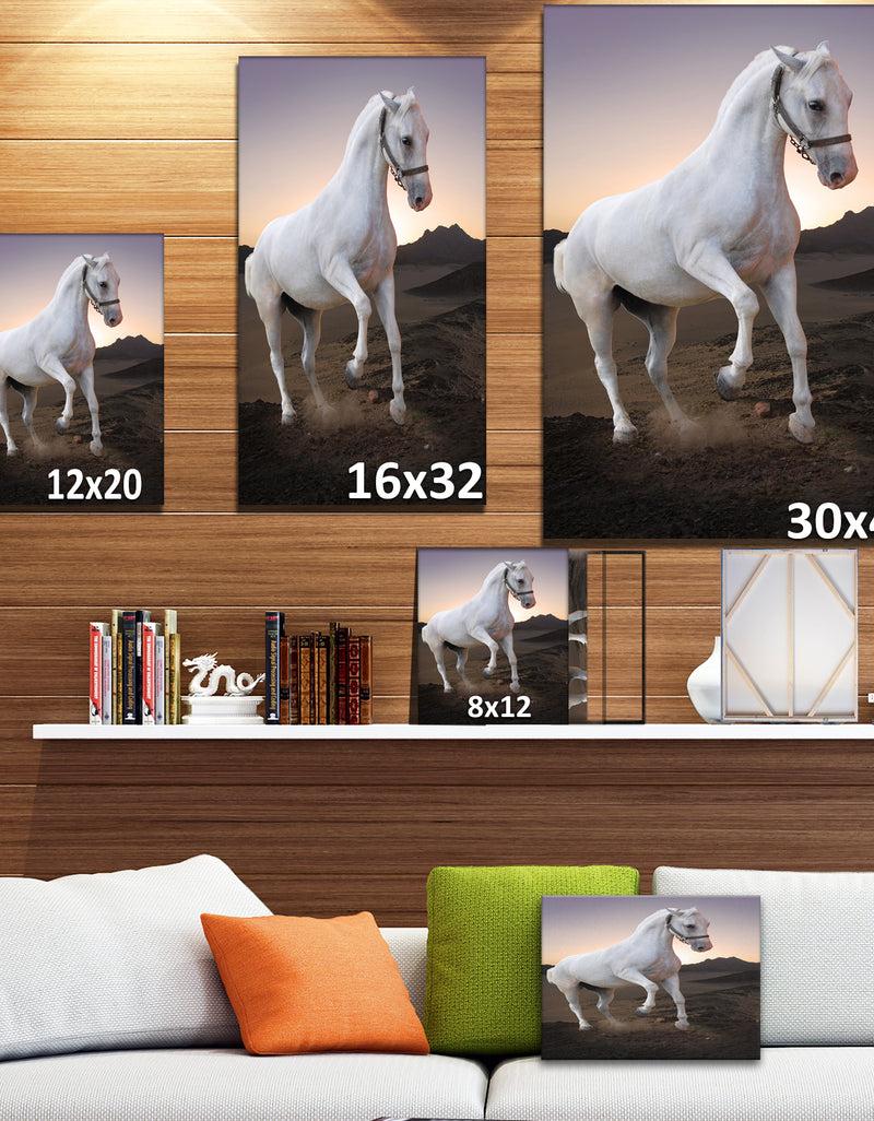DesignQ White Horse In The Desert - Farmhouse Animals Photographic On Wrapped Canvas