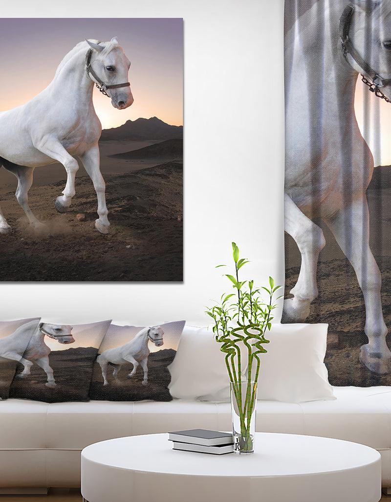 DesignQ White horse in the desert - Farmhouse Animals Photographic on wrapped Canvas