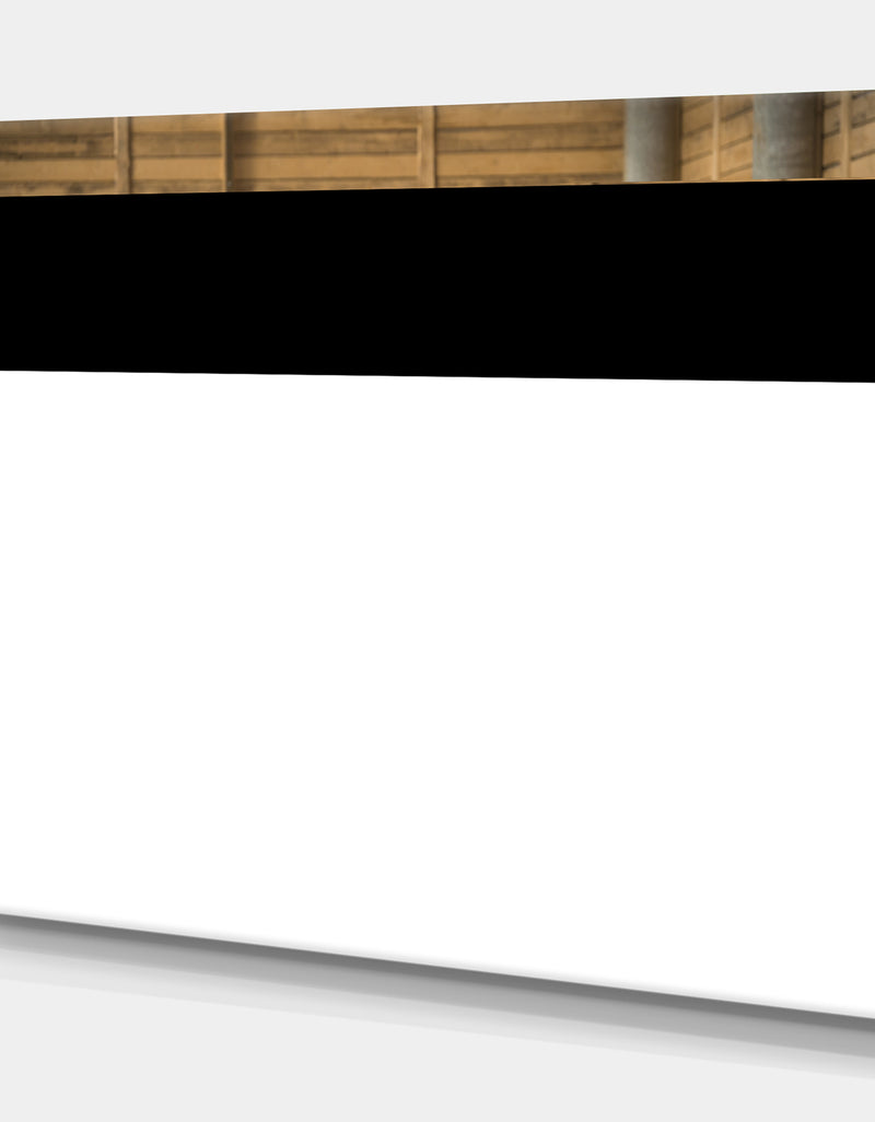 DesignQ White Horse Runs Gallop In The Manege - Farmhouse Animals Photographic On Wrapped Canvas