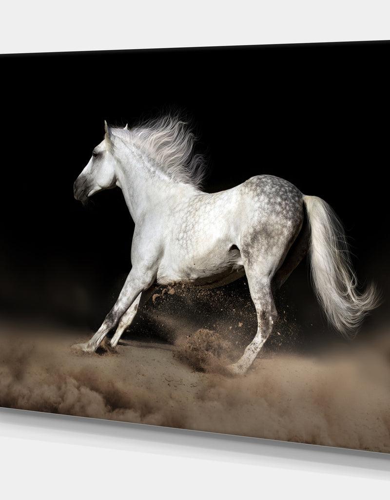 DesignQ White Horse With Long Mane In Desert Dust - Farmhouse Animals Photographic On Wrapped Canvas