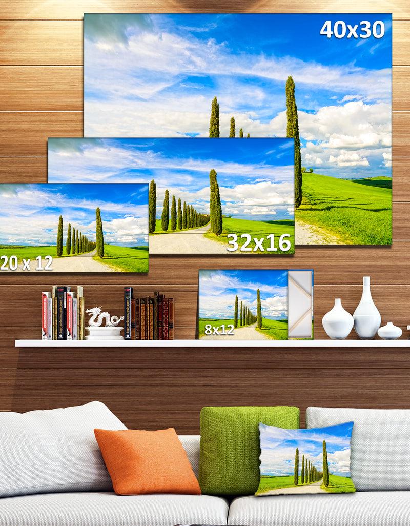 DesignQ White Road Through Cypress Trees - Oversized Landscape Wall Art Print