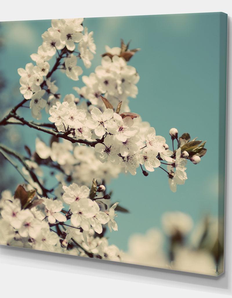 DesignQ White Spring Blossom - Cottage Premium Canvas Wall Art