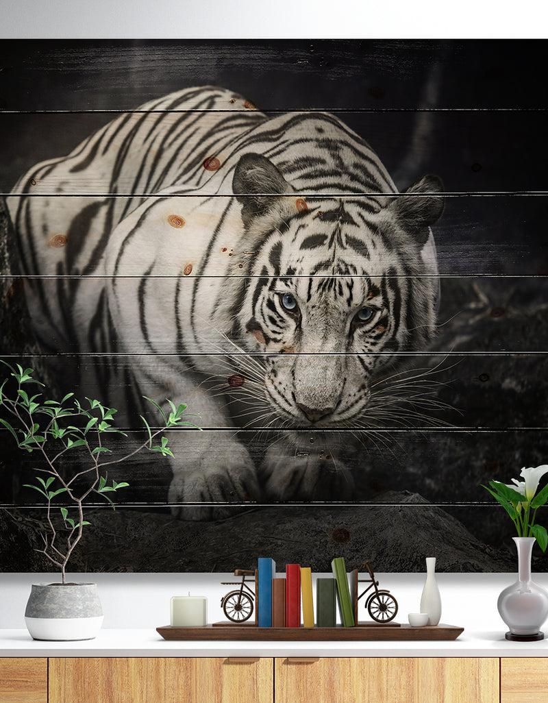 DesignQ White Tiger - Animal Photography Print on Natural Pine Wood