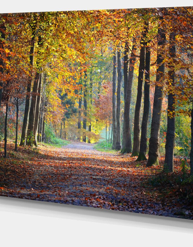 DesignQ Wide Pathway In Yellow Fall Forest - Landscape Photography Wall Art