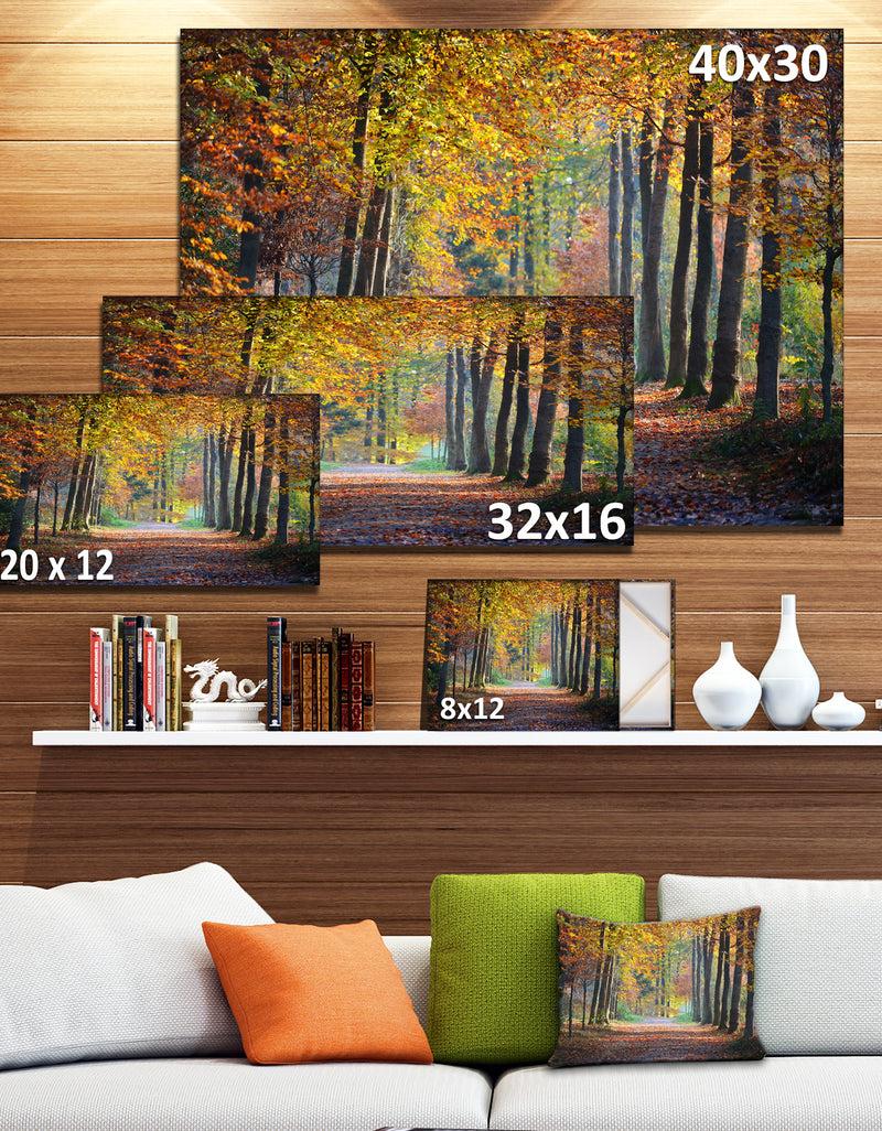 DesignQ Wide Pathway In Yellow Fall Forest - Landscape Photography Wall Art