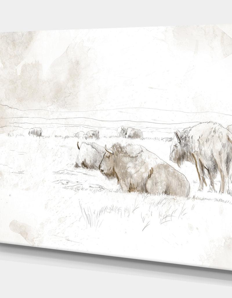 DesignQ Wild Bison Buffalo Sketch - Farmhouse Animal Painting Print On Wrapped Canvas