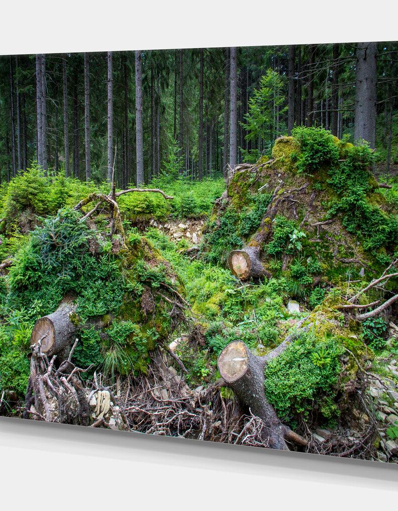 DesignQ Wild Deep Forest Rocks And Hills - Landscape Art Print Canvas
