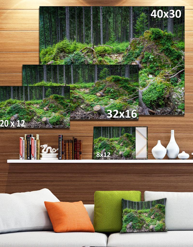 DesignQ Wild Deep Forest Rocks And Hills - Landscape Art Print Canvas