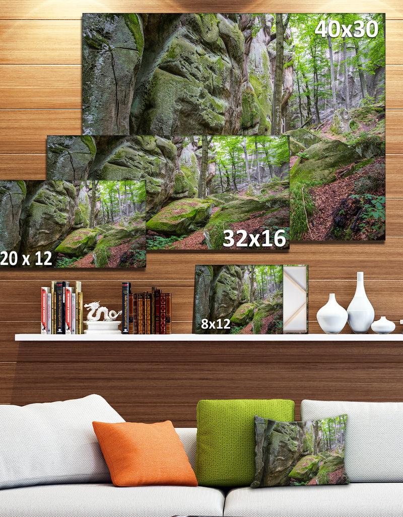 DesignQ Wild Deep Moss Forest Ukraine - Landscape Art Print Canvas