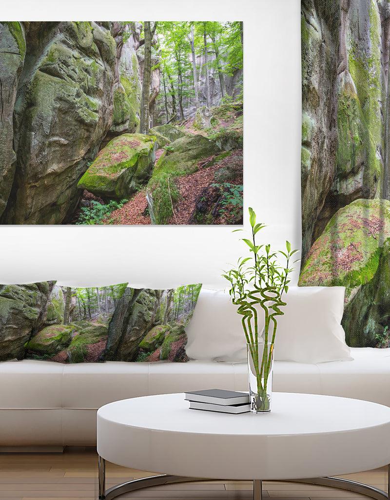 DesignQ Wild Deep Moss Forest Ukraine - Landscape Art Print Canvas