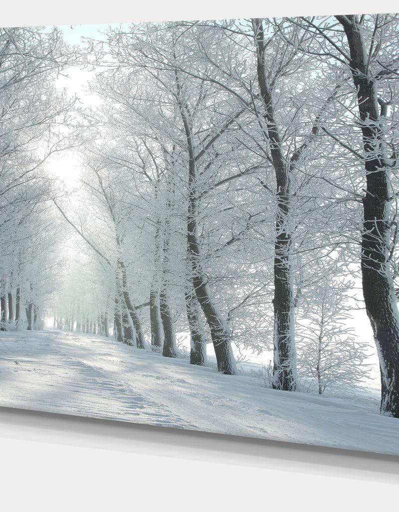 DesignQ Winter Country Lane On Frosty Morning - Large Forest Artwork Canvas