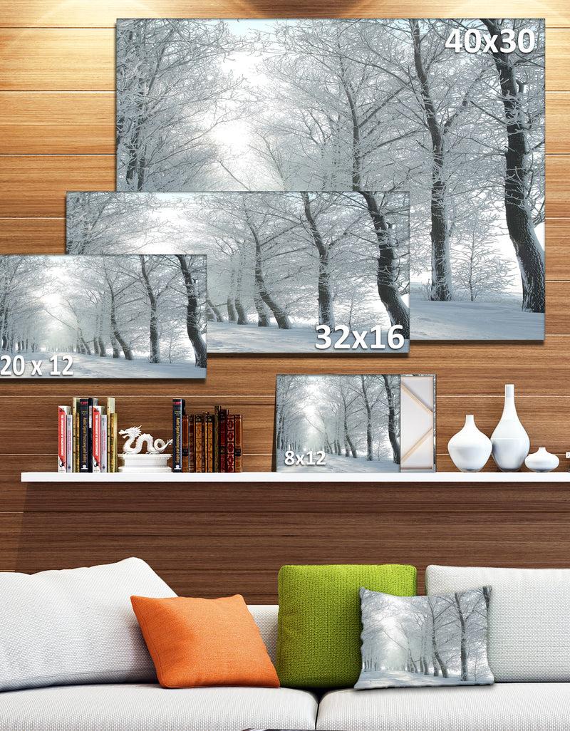 DesignQ Winter Country Lane On Frosty Morning - Large Forest Artwork Canvas