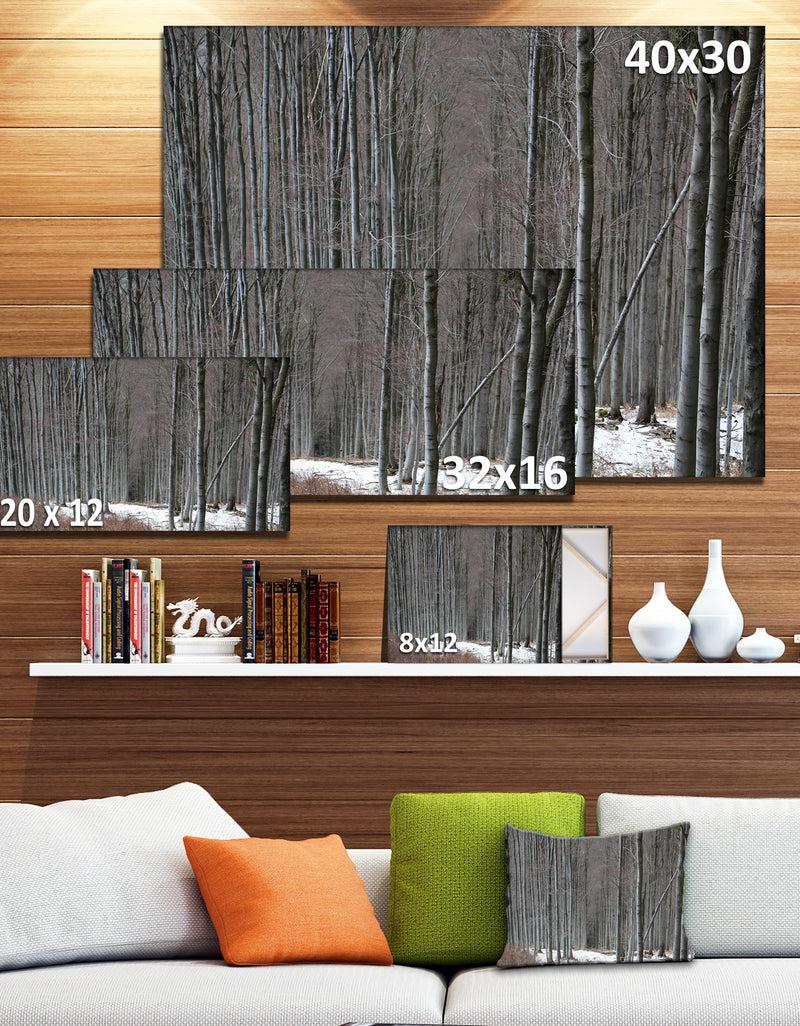 DesignQ Winter Forest With Thick Trees - Large Forest Canvas Art