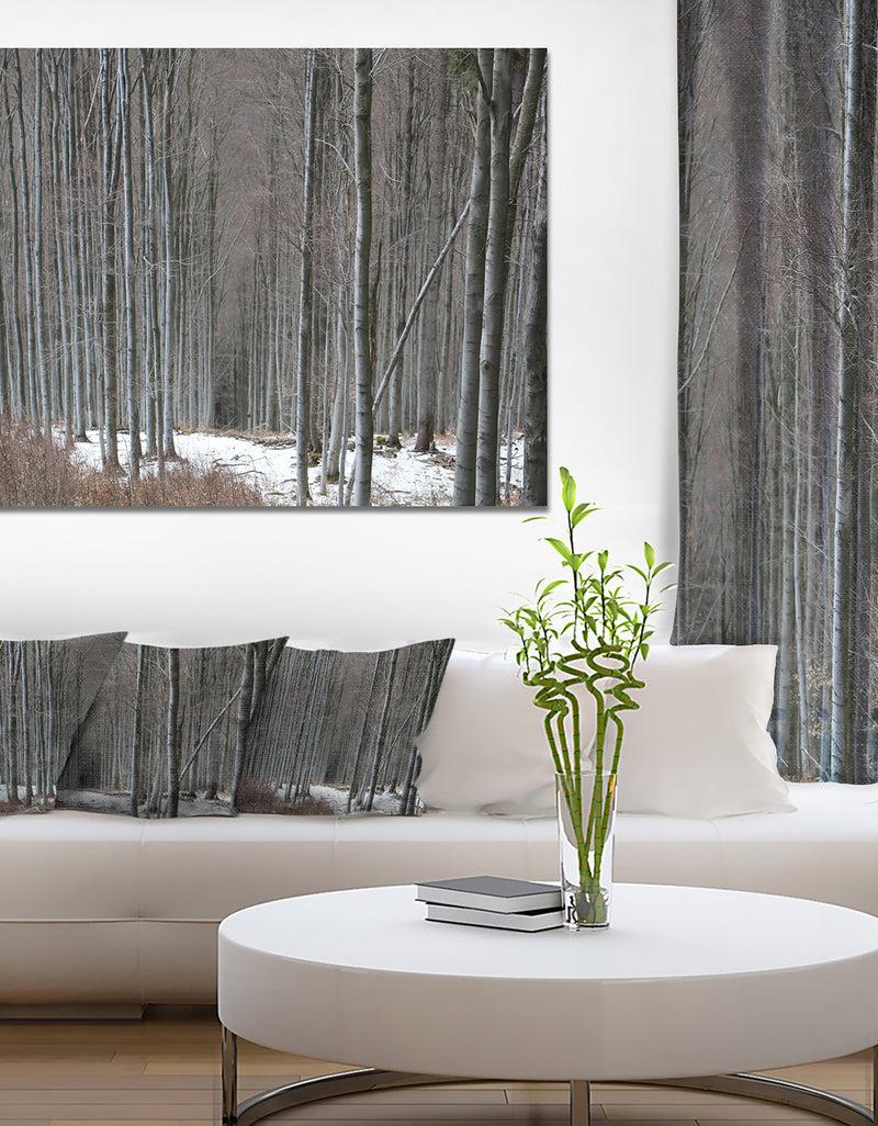 DesignQ Winter Forest with Thick Trees - Large Forest Canvas Art