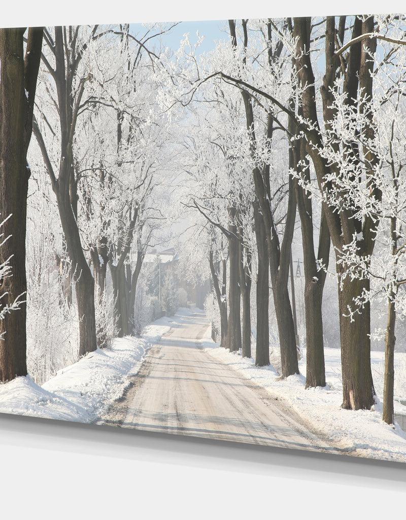 DesignQ Winter Lane In Countryside - Large Forest Artwork Canvas