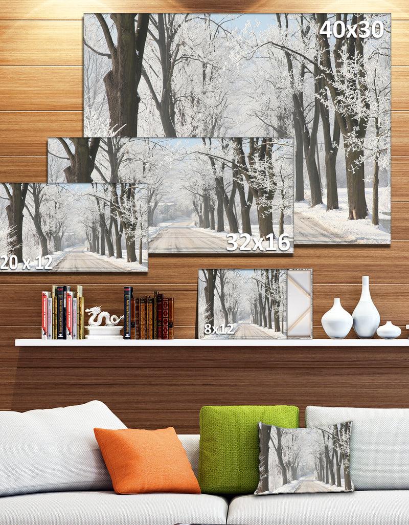 DesignQ Winter Lane In Countryside - Large Forest Artwork Canvas
