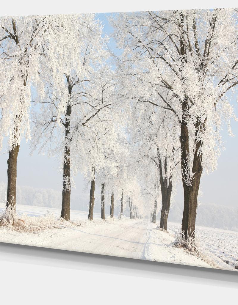 DesignQ Winter Lane On Sunny Morning - Modern Forest Canvas Wall Artwork
