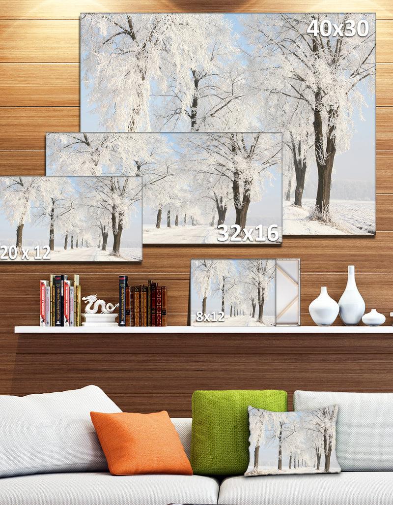 DesignQ Winter Lane On Sunny Morning - Modern Forest Canvas Wall Artwork