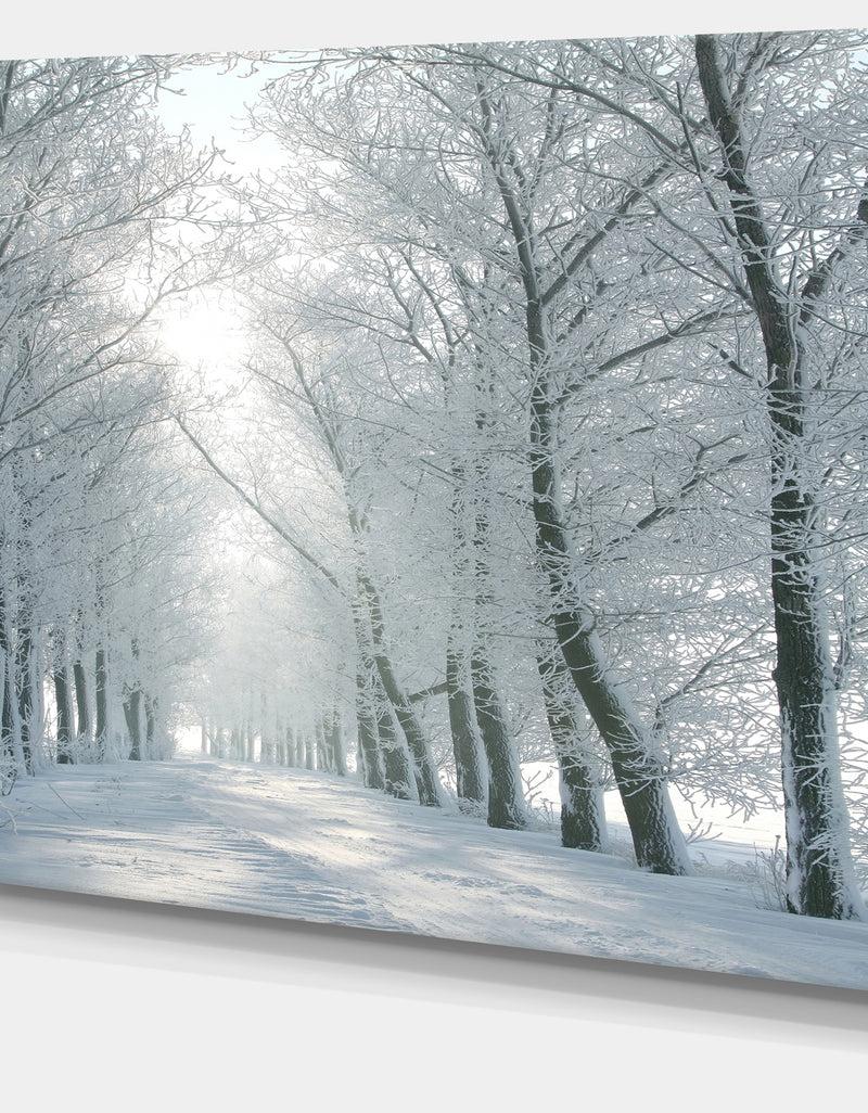 DesignQ Winter Road Backlit My Morning Sun - Modern Forest Canvas Wall Artwork