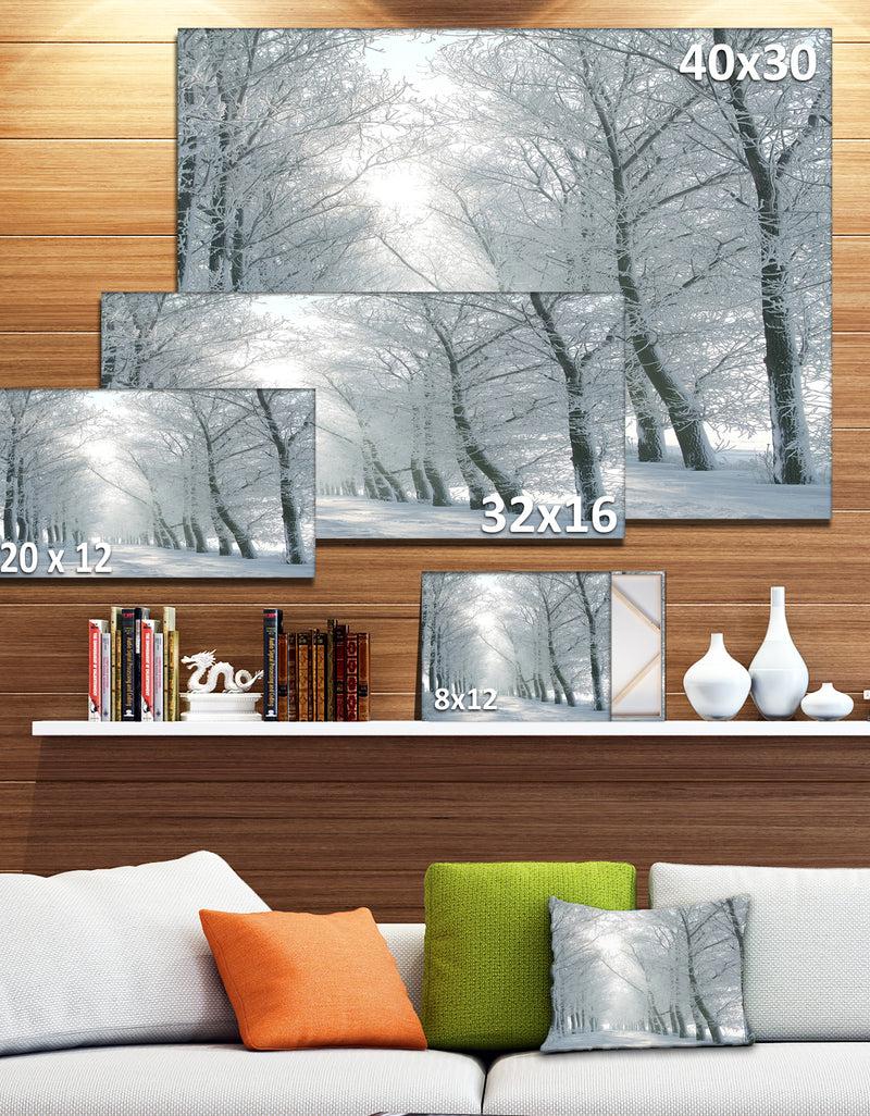 DesignQ Winter Road Backlit My Morning Sun - Modern Forest Canvas Wall Artwork