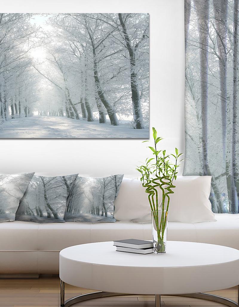 DesignQ Winter Road Backlit my Morning Sun - Modern Forest Canvas Wall Artwork