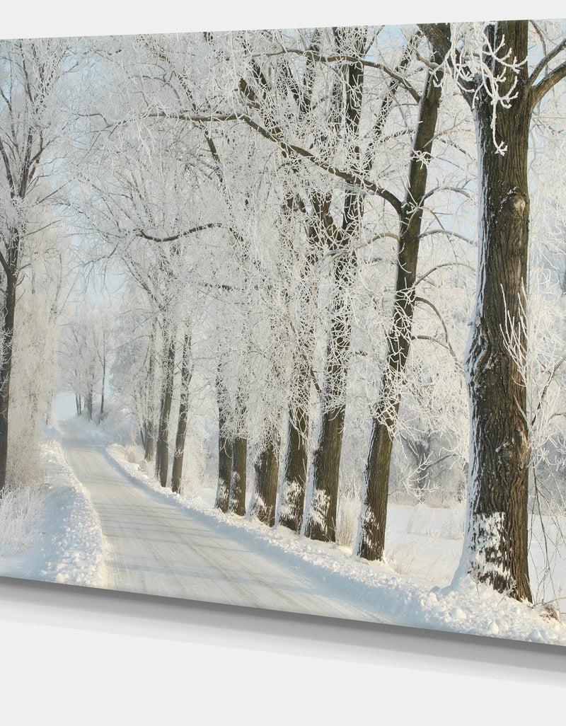 DesignQ Winter Road In Dense Foggy Forest - Large Forest Artwork Canvas
